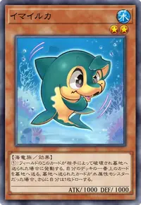 イマイルカ