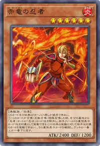 赤竜の忍者