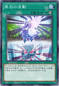 黒白の波動