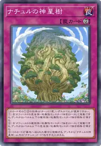 ナチュルの神星樹