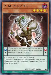 P・M・キャプチャー