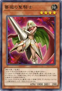 薔薇の聖騎士