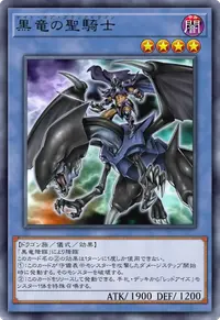 黒竜の聖騎士