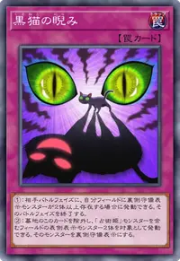 黒猫の睨み