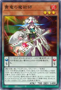 貴竜の魔術師