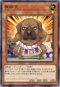 横綱犬
