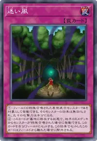 迷い風
