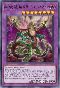 捕食植物ドラゴスタペリア