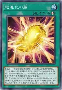 超進化の繭