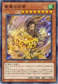 黄竜の忍者