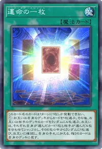 運命の一枚