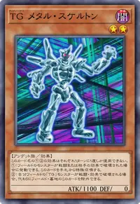 TG メタル・スケルトン
