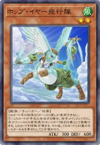 ホップ・イヤー飛行隊