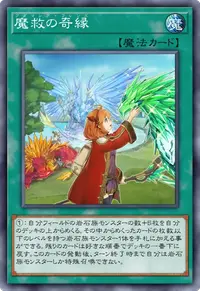 魔救の奇縁