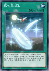 翼の恩返し