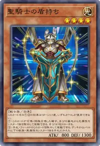 聖騎士の盾持ち