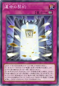 運命の契約