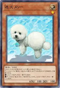 迷犬メリー