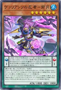 ヴァリアンツの忍者－南月