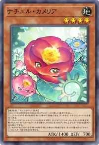 ナチュル・カメリア