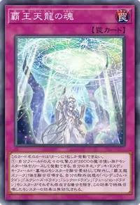 覇王天龍の魂