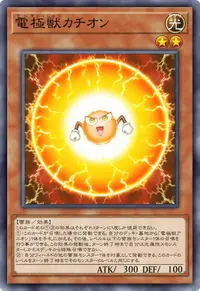 電極獣カチオン