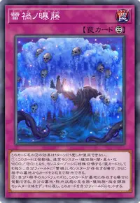 蕾禍ノ曝藤