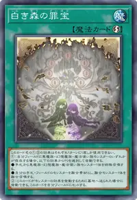 白き森の罪宝