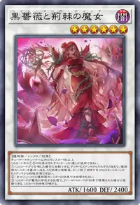 黒薔薇と荊棘の魔女