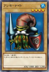 アンモ・ナイト