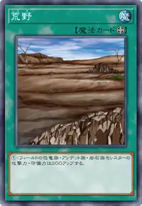 荒野