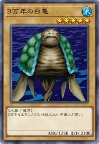 ３万年の白亀