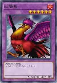 紅陽鳥