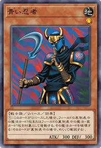青い忍者