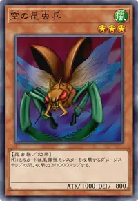 空の昆虫兵