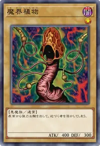 魔界植物