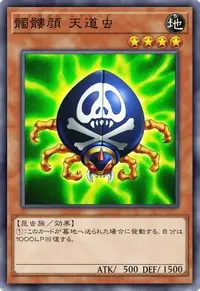 髑髏顔 天道虫