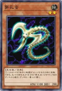 穿孔虫