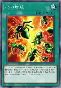 アリの増殖