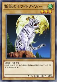 隻眼のホワイトタイガー