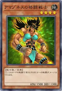 アマゾネスの格闘戦士