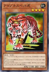 アマゾネスペット虎