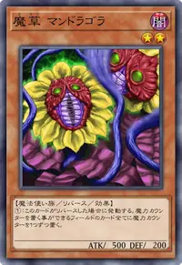 魔草 マンドラゴラ