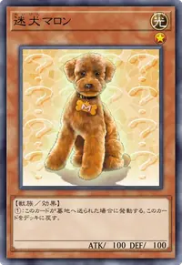 迷犬マロン