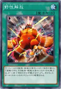 野性解放