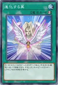 進化する翼