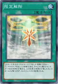 限定解除