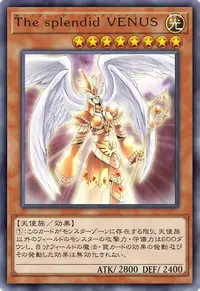 The splendid VENUS