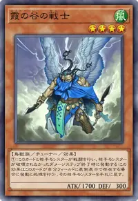 霞の谷の戦士