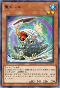 裏ガエル
